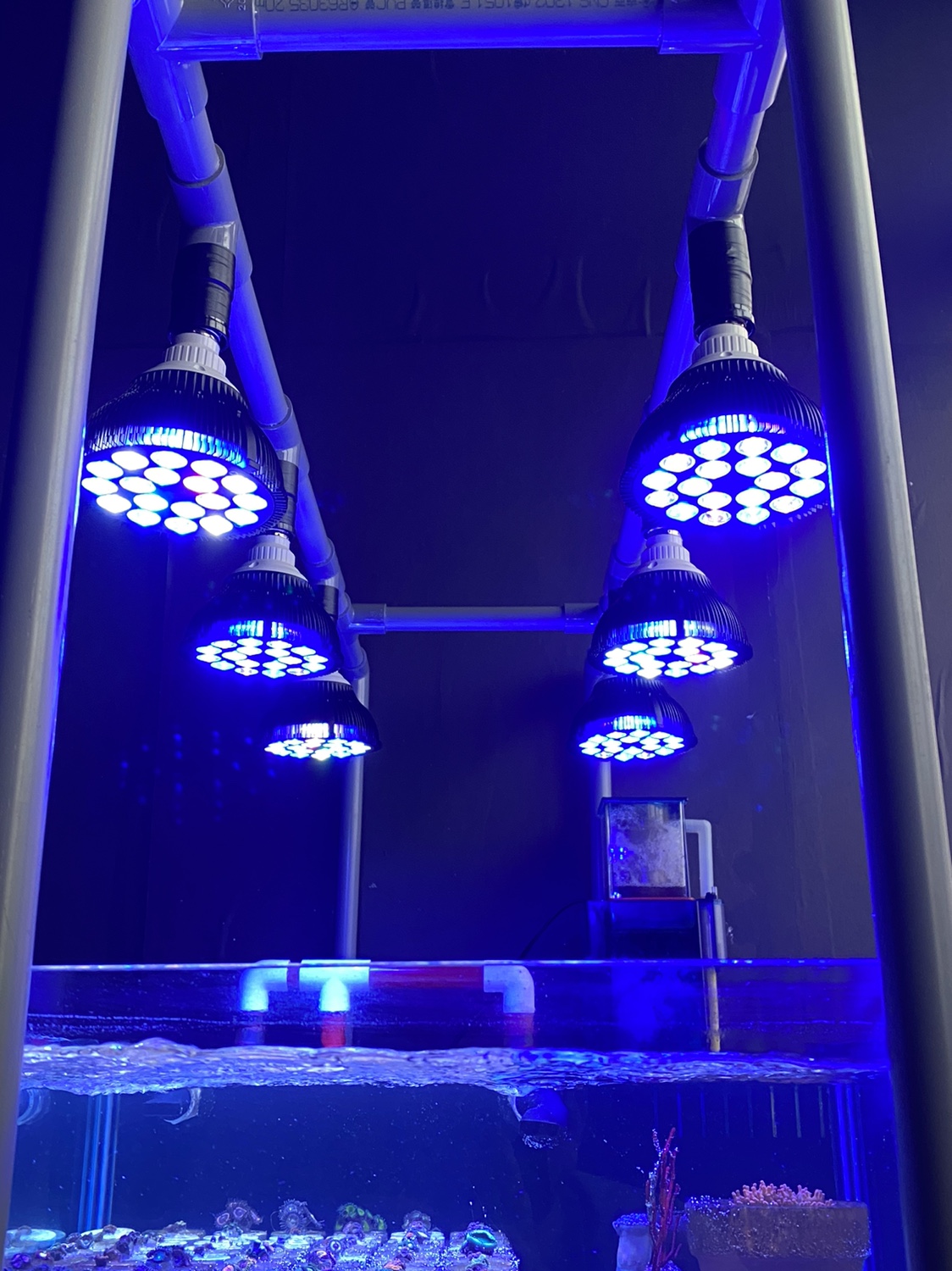 Aquarium Plant Diseases - Full specturm LED Aquarium Reef Light