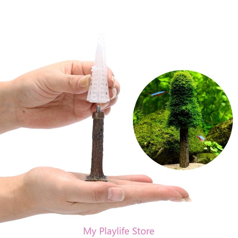 Aquarium Plant Diseases - Aquarium Moss Decoration Fish Tank Plant