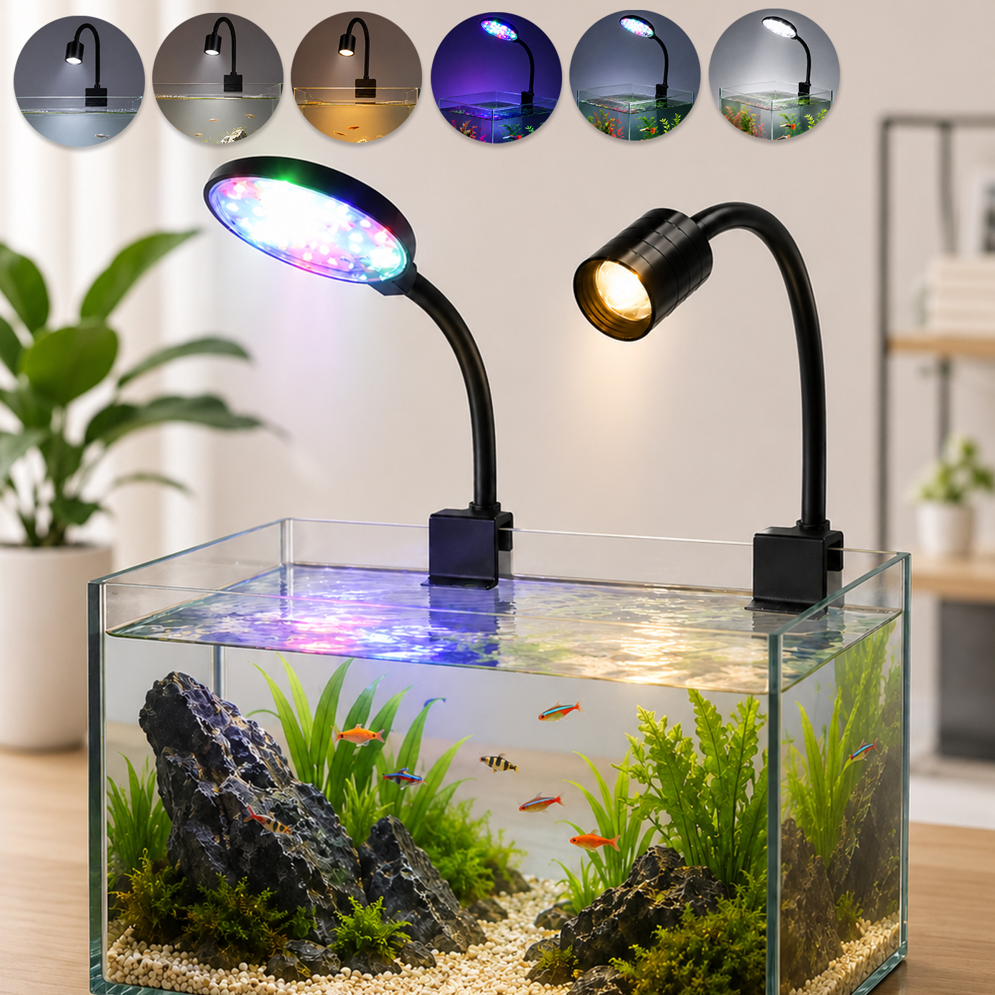 Aquarium Plant Diseases - USB LED Aquarium Light Lighting plants