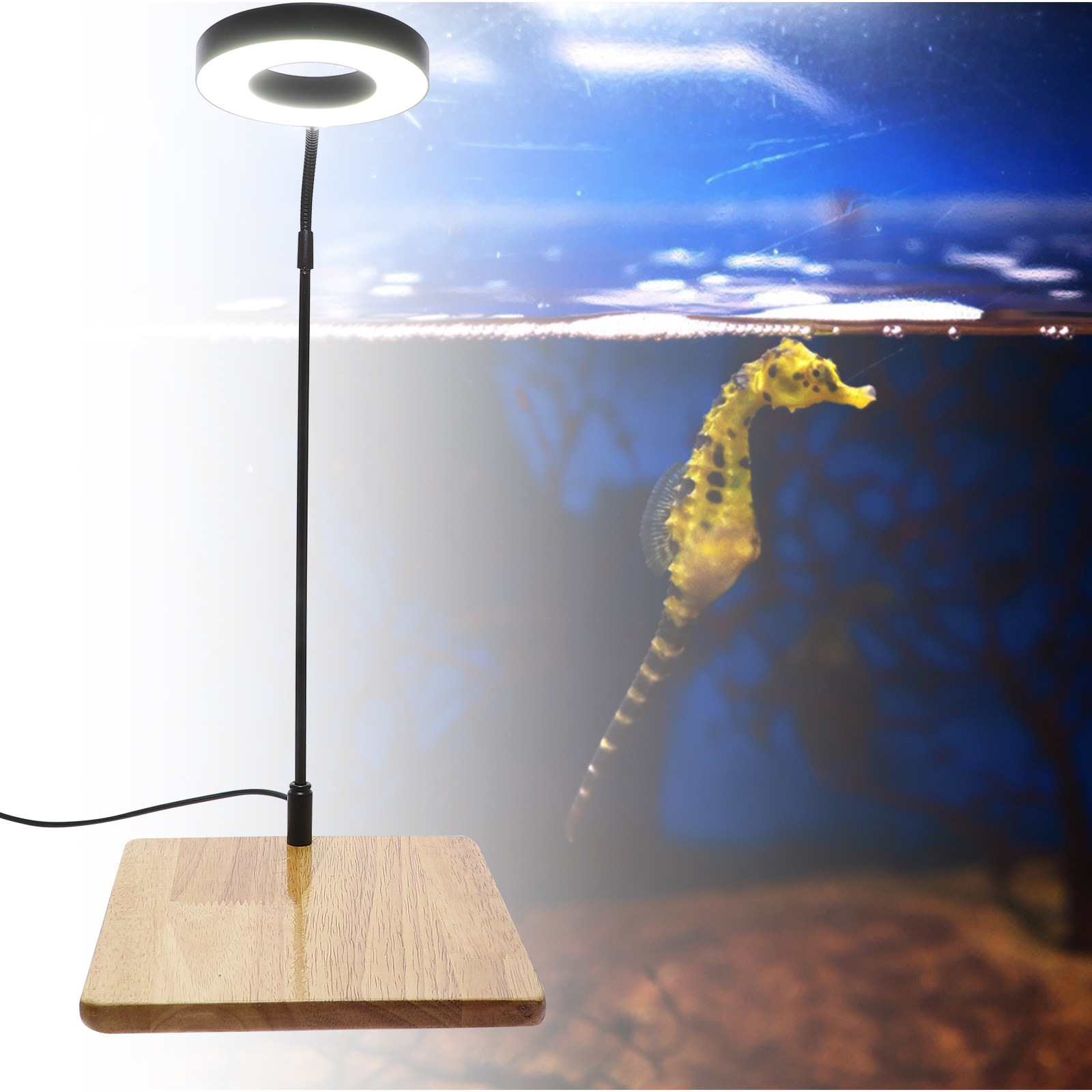 Aquarium Planted Tank - 1Pcs Aquarium Fill Light High Brightness