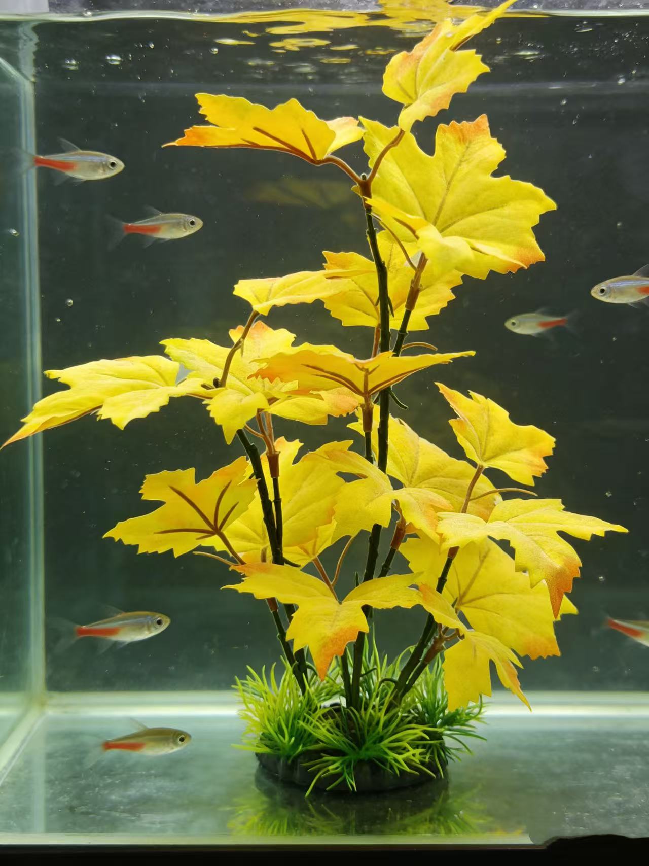 Aquarium Plant Yellowing - Artificial Aquarium Decor Plants Plastic Aquatic