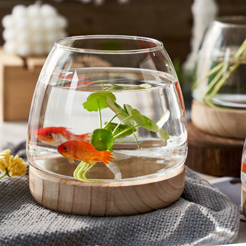 Aquarium Plant Original - 1Set Wooden Base Glass Hydroponic Planter