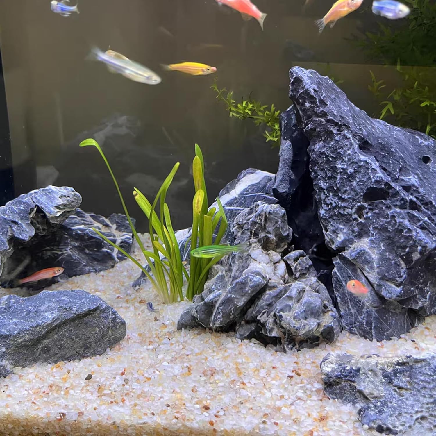 5lb Aquarium Silica Sand 0.4-0 - Planted Aquarium With Sand recensie en prijs