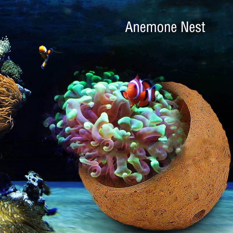 Anemone Nest Prevent Running A - Aquarium Planted Tank Soil recensie en prijs