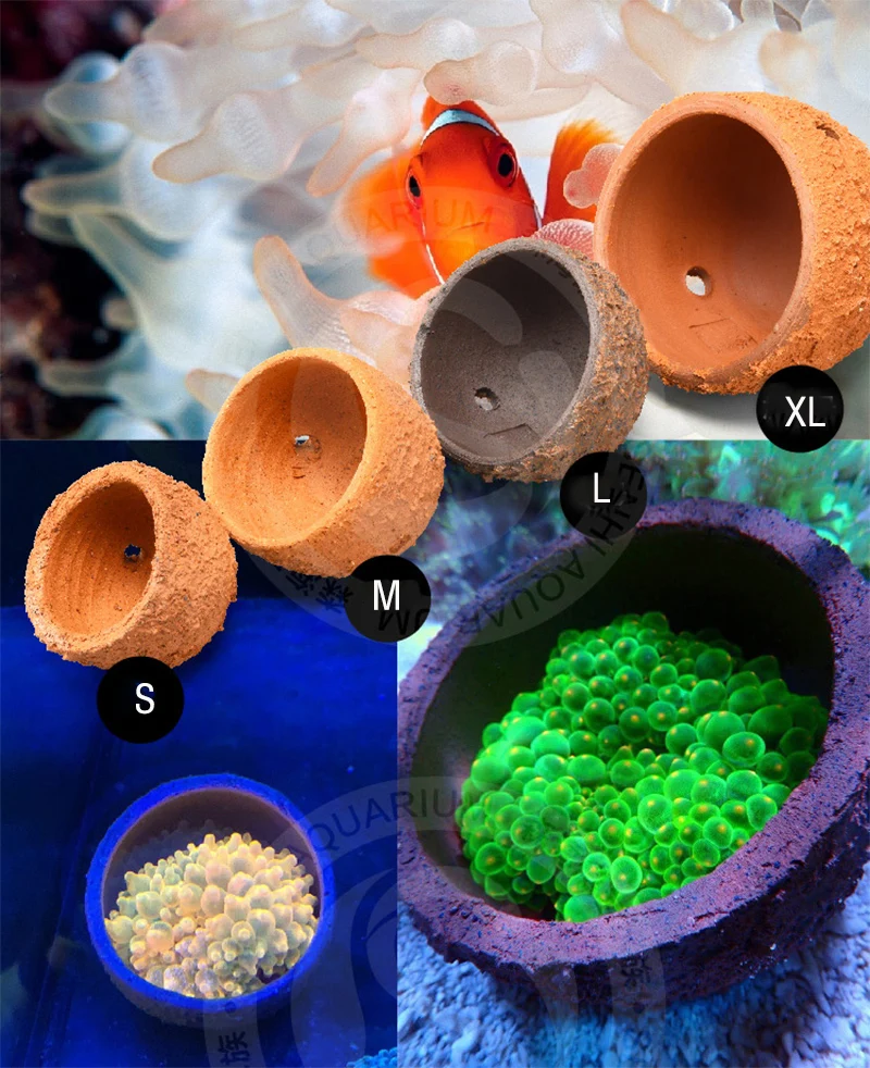 Anemone Nest Prevent Running A - Aquarium Planted Tank Soil recensie en prijs