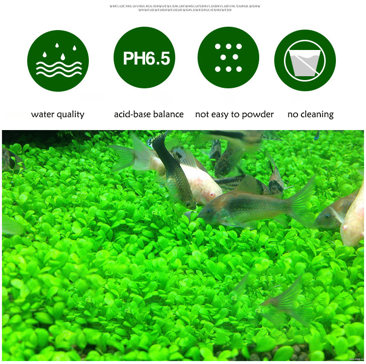 Aquarium Water Grass Mud Plant - Aquarium Planted Tank Soil recensie en prijs