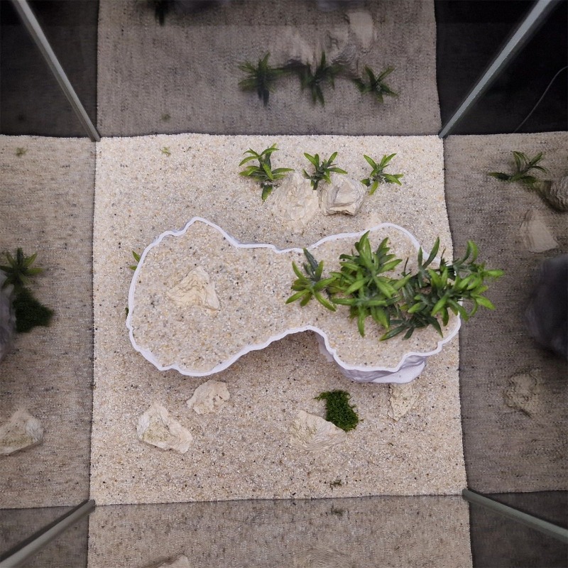 Aquarium 3D Printed Planting B - Aquarium Planted Tank Soil recensie en prijs