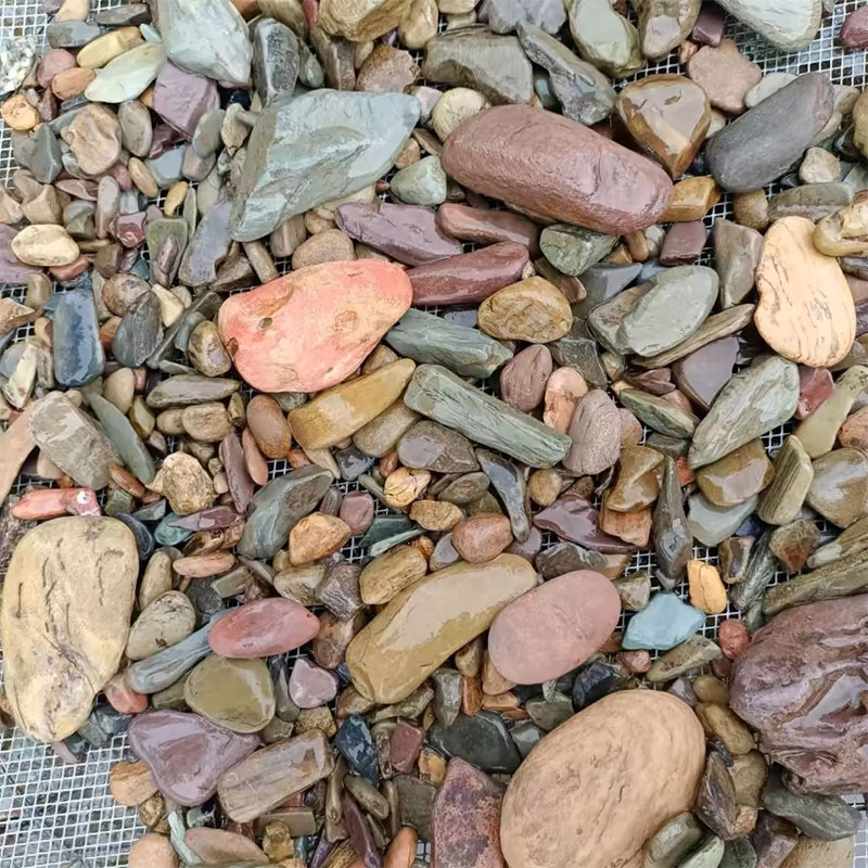 500g Fish Tank Bottom Sand Sto - Planted Aquarium With Sand recensie en prijs