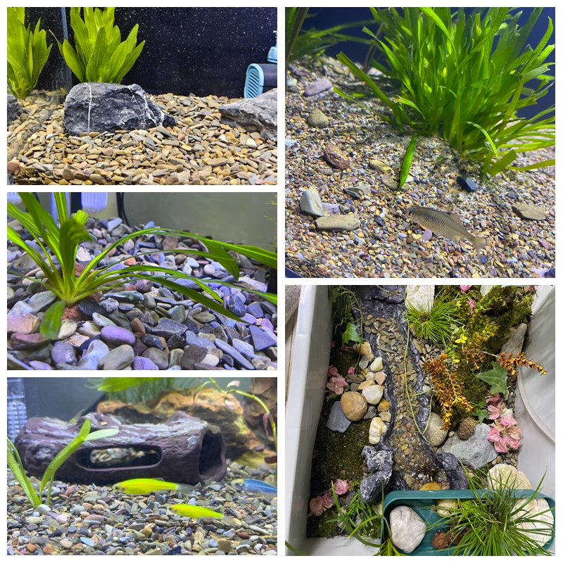 500g Fish Tank Bottom Sand Sto - Planted Aquarium With Sand recensie en prijs