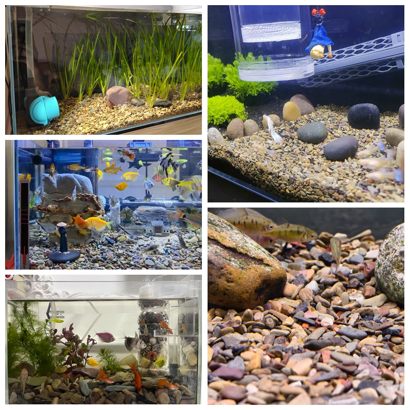 500g Fish Tank Bottom Sand Sto - Planted Aquarium With Sand recensie en prijs