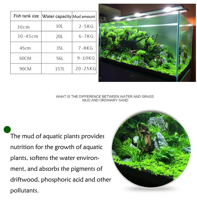Fish Tank Water Grass Mud Plan - Planted Aquarium With Sand recensie en prijs