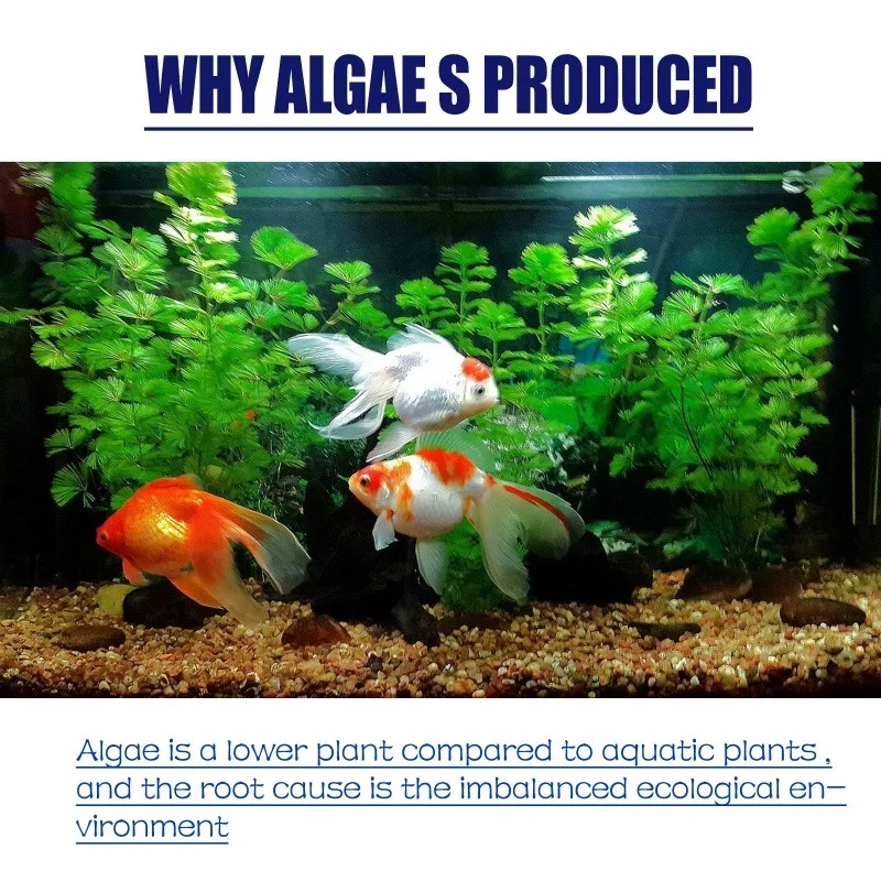 50g High Efficiency Algaecide  - Planted Aquarium Fertilizer recensie en prijs