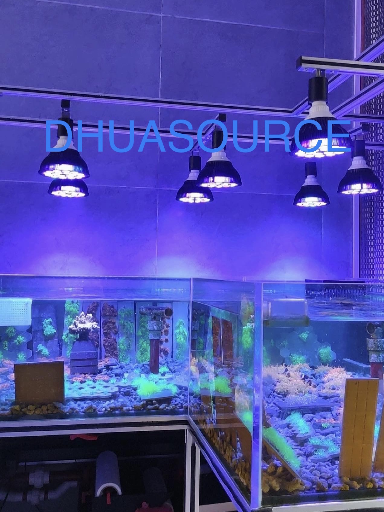 Full specturm LED Aquarium Ree - Aquarium Plant Diseases recensie en prijs