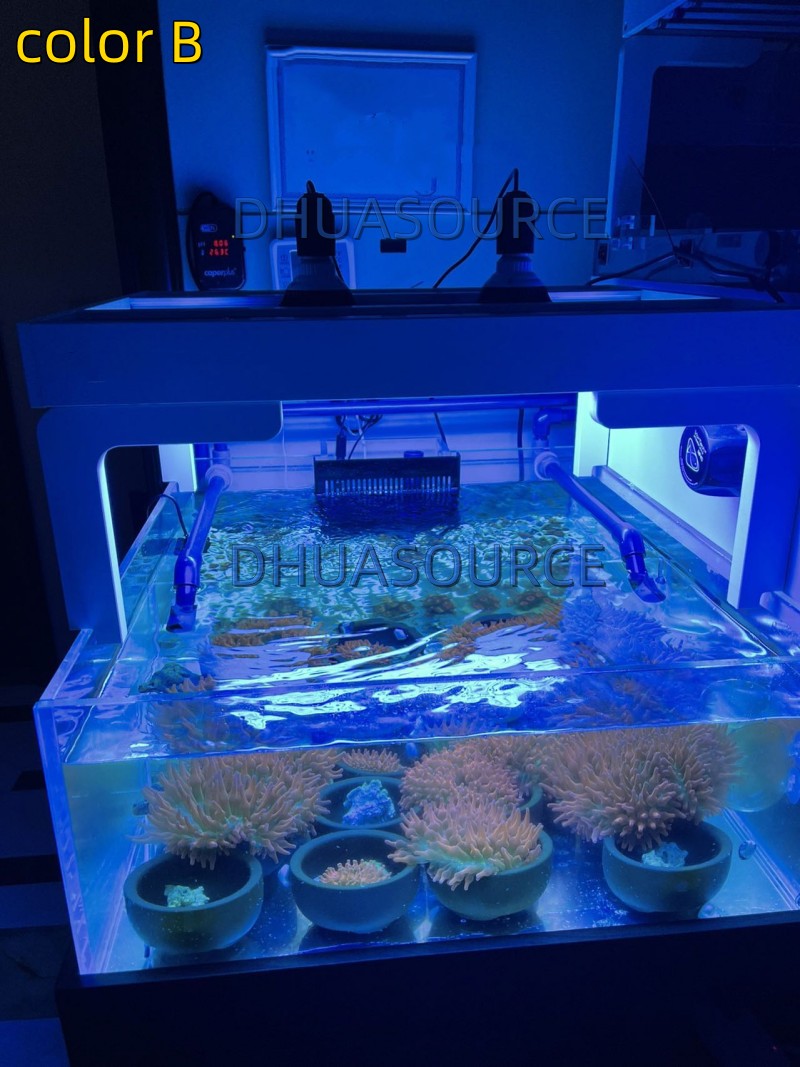 Full specturm LED Aquarium Ree - Aquarium Plant Diseases recensie en prijs