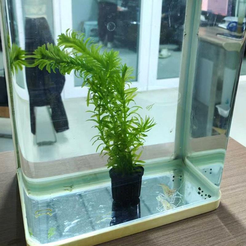 4Pcs Pet Fish Tank Landscaping - Aquarium Plant Original recensie en prijs