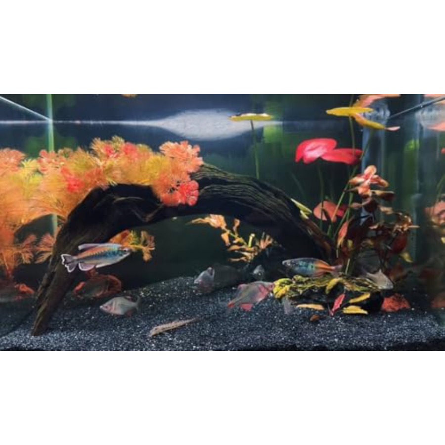 Aquarium Sand, 0 Fish Tank San - Planted Aquarium With Sand recensie en prijs