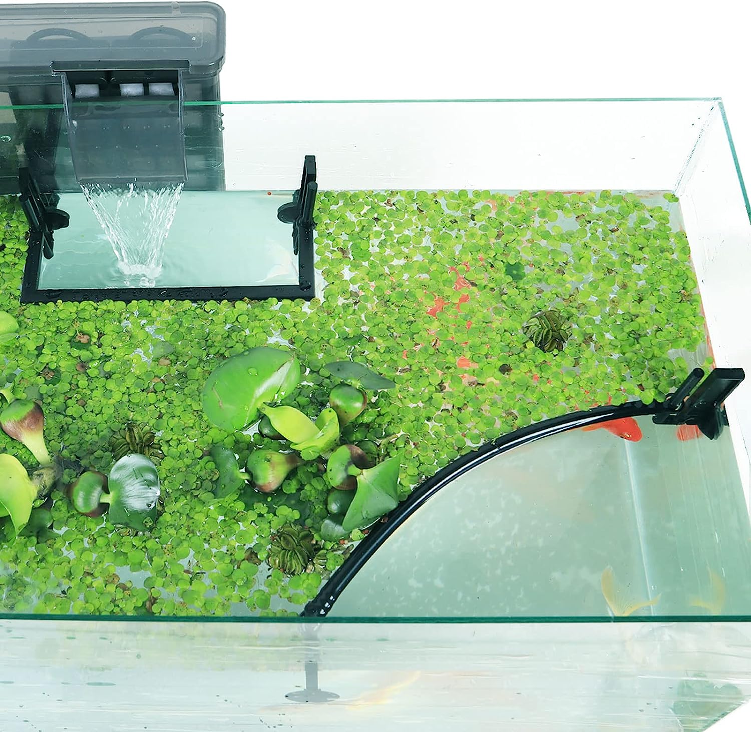 Aquarium Floating Plant Corral - Planted Aquarium Heater recensie en prijs