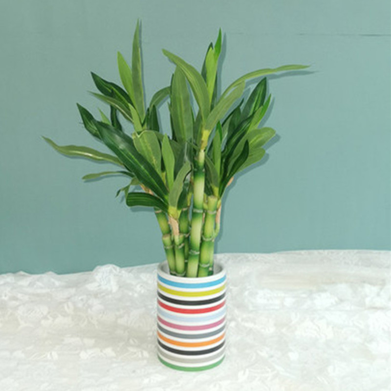 New 40cm rFtificial Lucky Bamb - Aquarium Planted Tank recensie en prijs