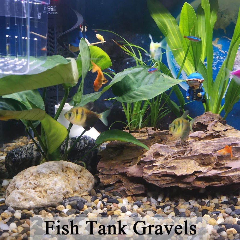 5 lbs Aquarium Gravel, Pea Gra - Aquarium Planted Tank Soil recensie en prijs