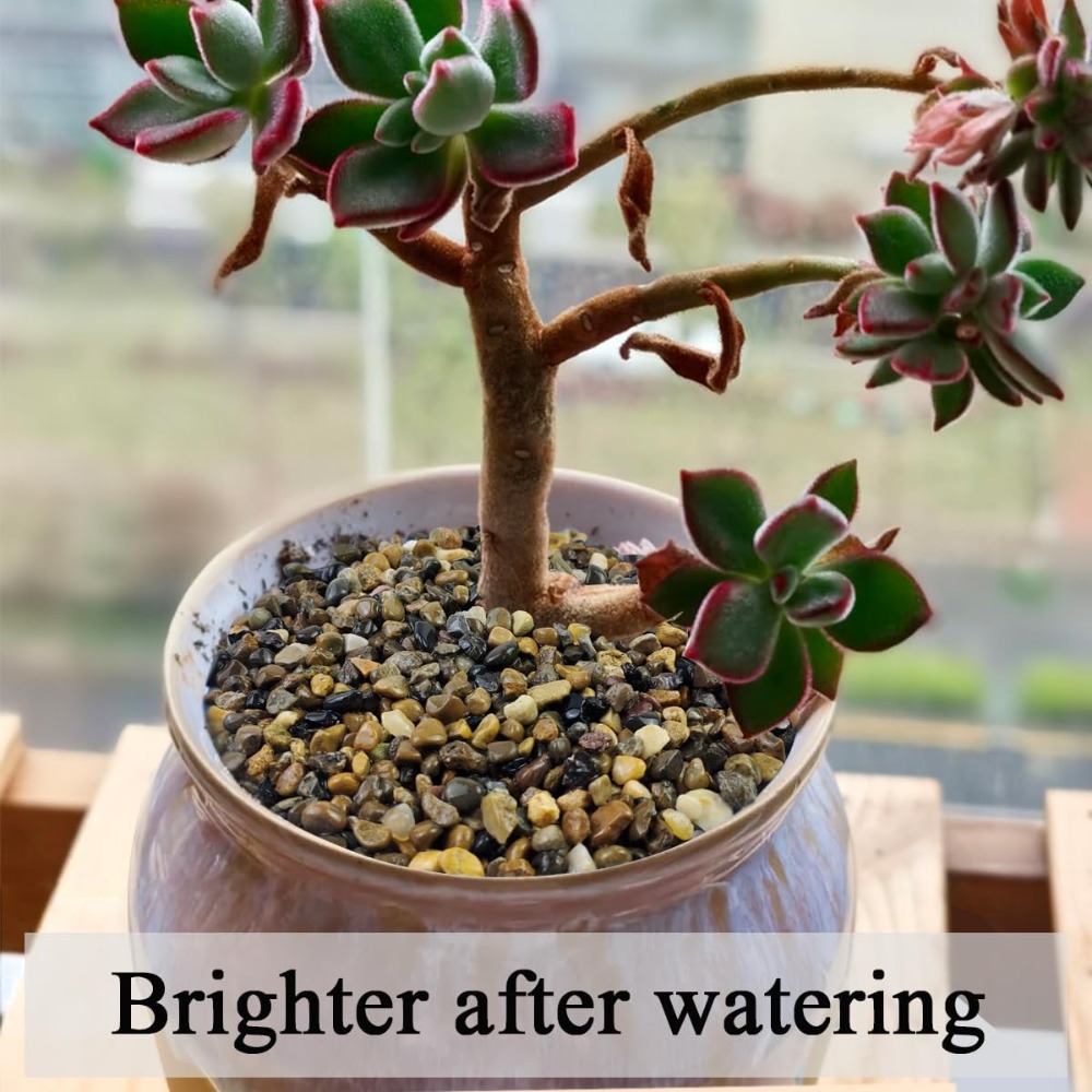 5 lbs Aquarium Gravel, Pea Gra - Aquarium Planted Tank Soil recensie en prijs