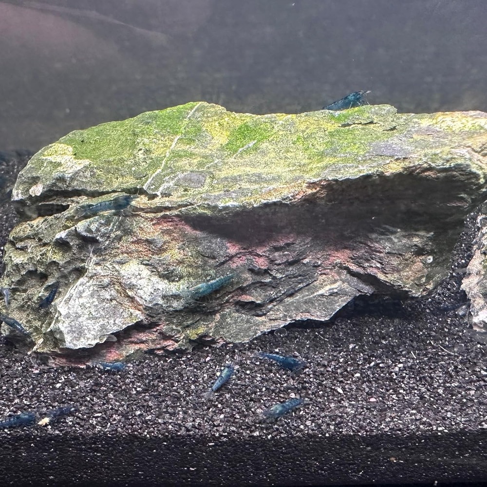 Black Aquarium Sand 2lbs, Fine - Planted Aquarium With Sand recensie en prijs