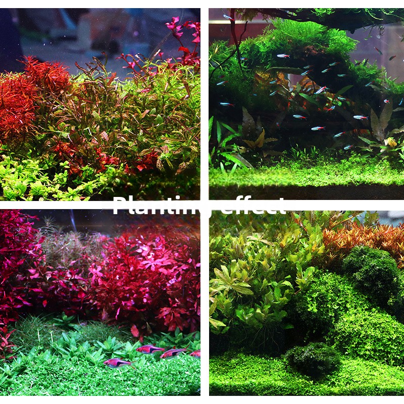 SYSENCIAGA Planted Aquarium Su - Planted Aquarium Fertilizer recensie en prijs