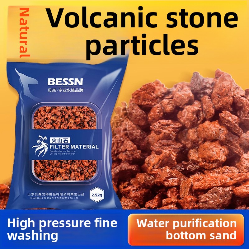BESSN Volcanic Rock Aquarium S - Planted Aquarium With Sand recensie en prijs