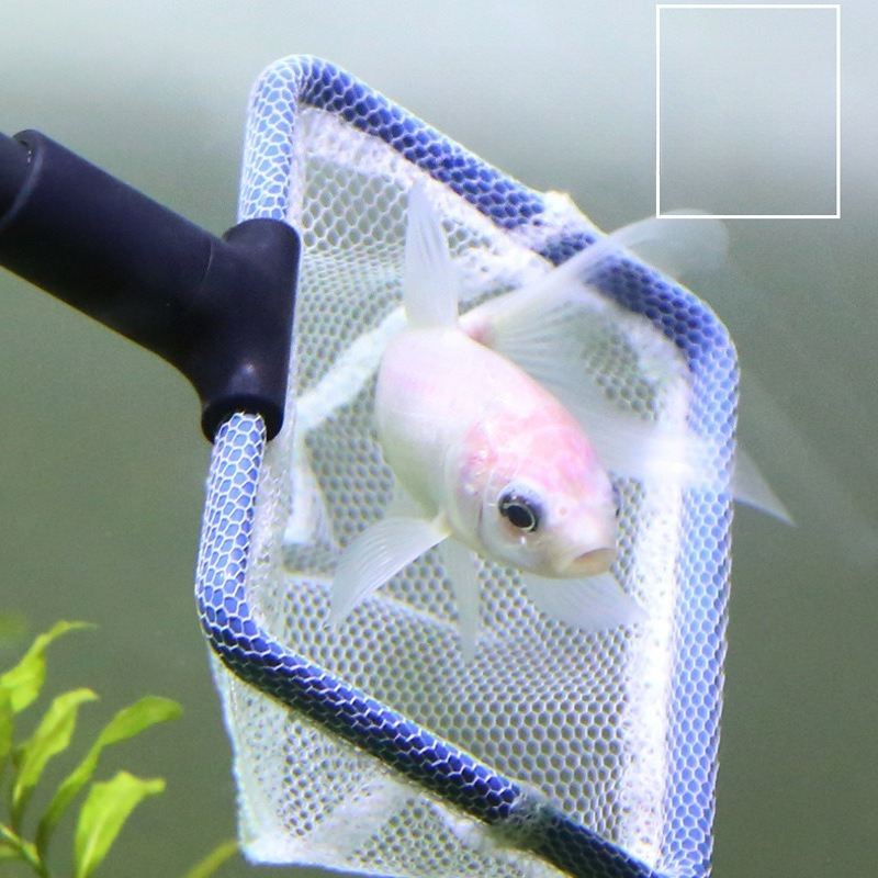Aquarium Cleaning Tool Set Mul - Planted Aquarium With Sand recensie en prijs