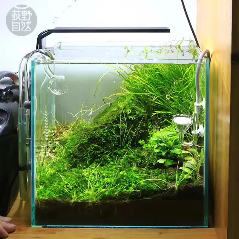 Chihiros C Series ADA Style Pl - Aquarium Plant Diseases recensie en prijs
