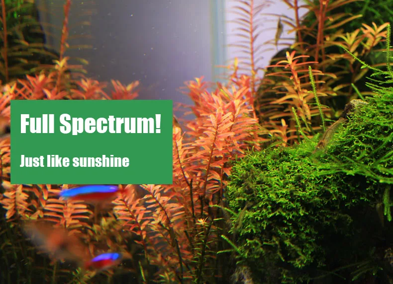 Chihiros C Series ADA Style Pl - Aquarium Plant Diseases recensie en prijs