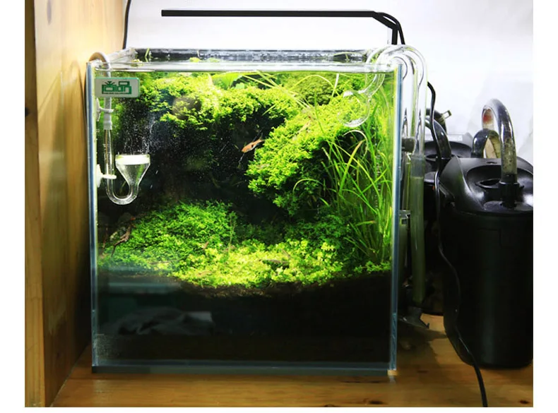 Chihiros C Series ADA Style Pl - Aquarium Plant Diseases recensie en prijs