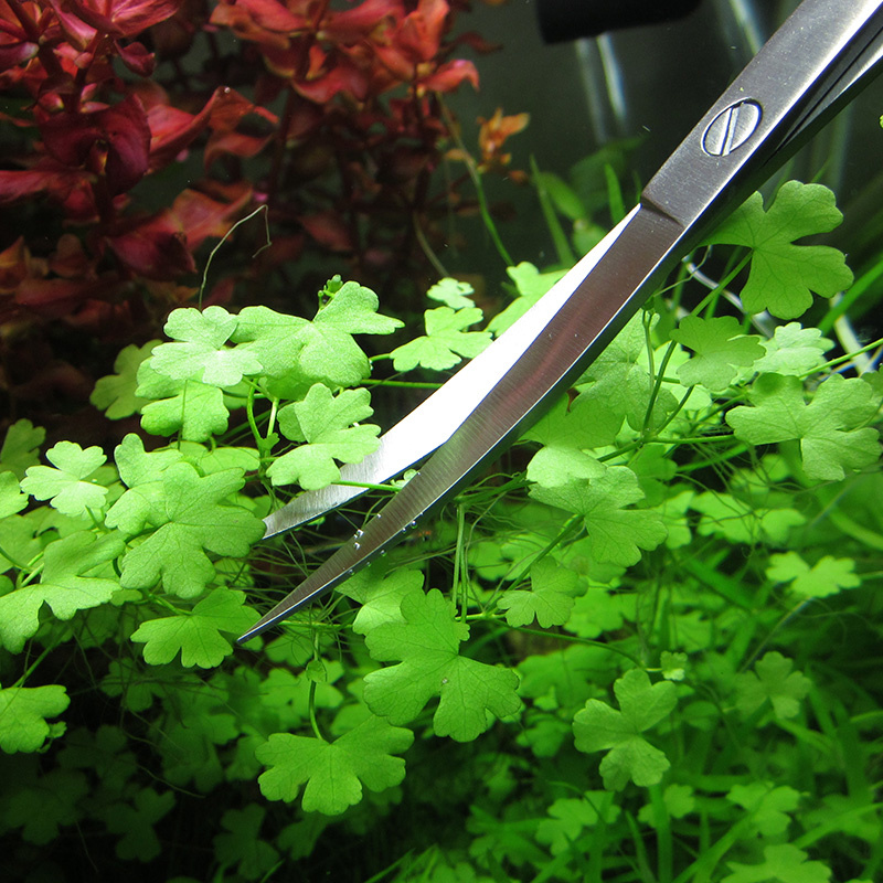 Aquarium Accessories Hard Stai - Planted Aquarium Cleaning recensie en prijs