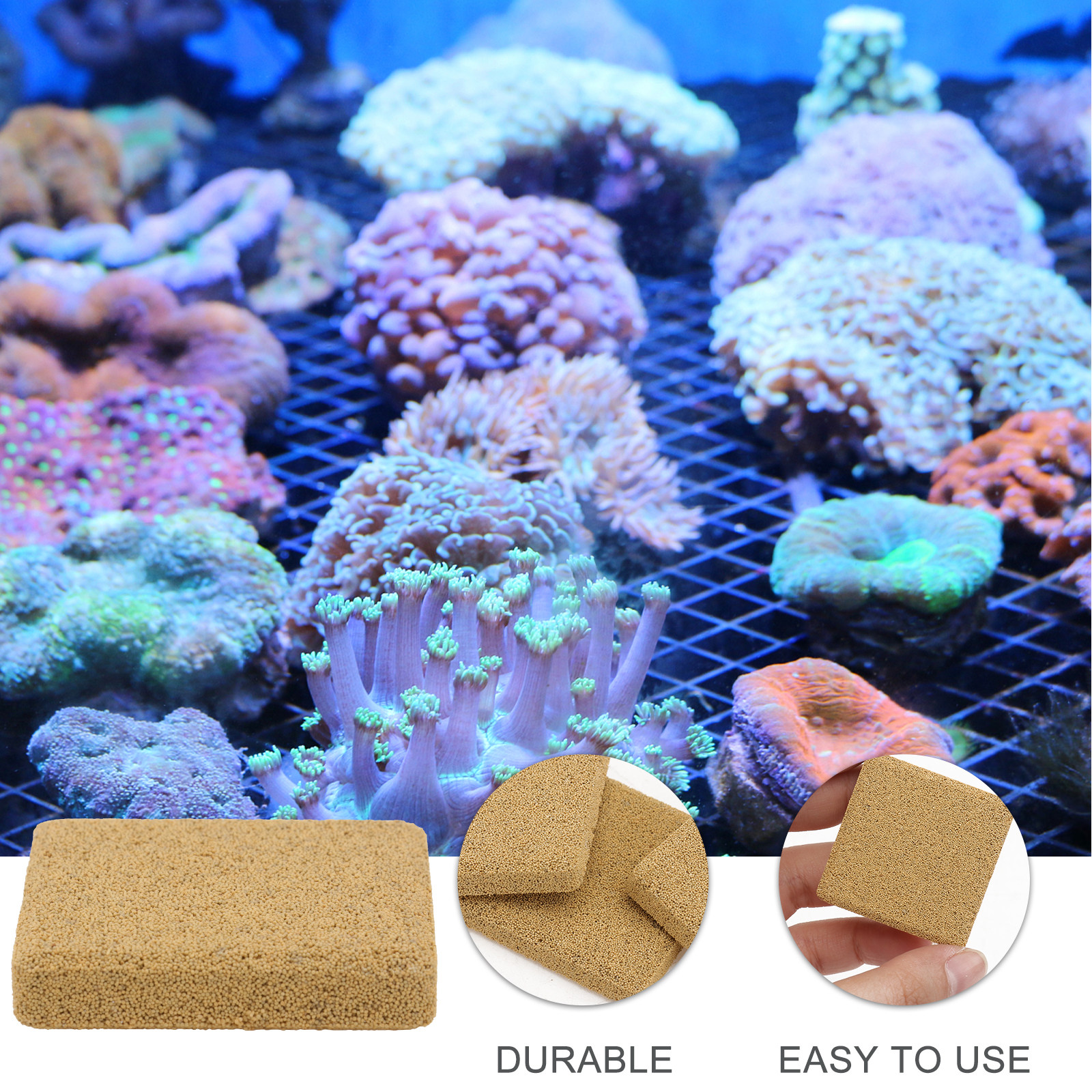 10Pcs Coral Breeding Base Dura - Planted Aquarium Cleaning recensie en prijs