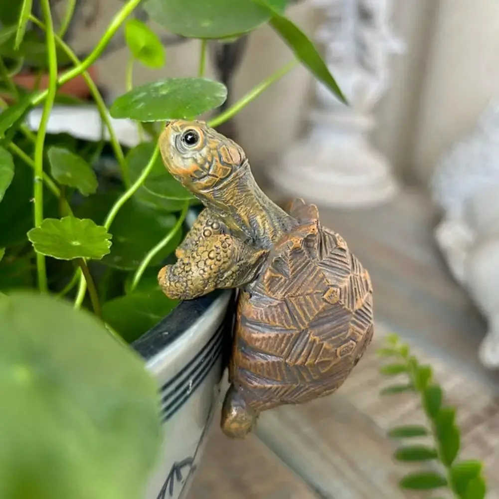 Fishing Turtle Hanging Turtle  - Aquarium Plant Original recensie en prijs