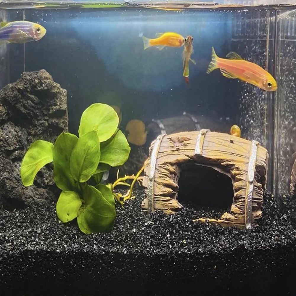 ANTIAN 20 lbs Black Silica San - Planted Aquarium With Sand recensie en prijs