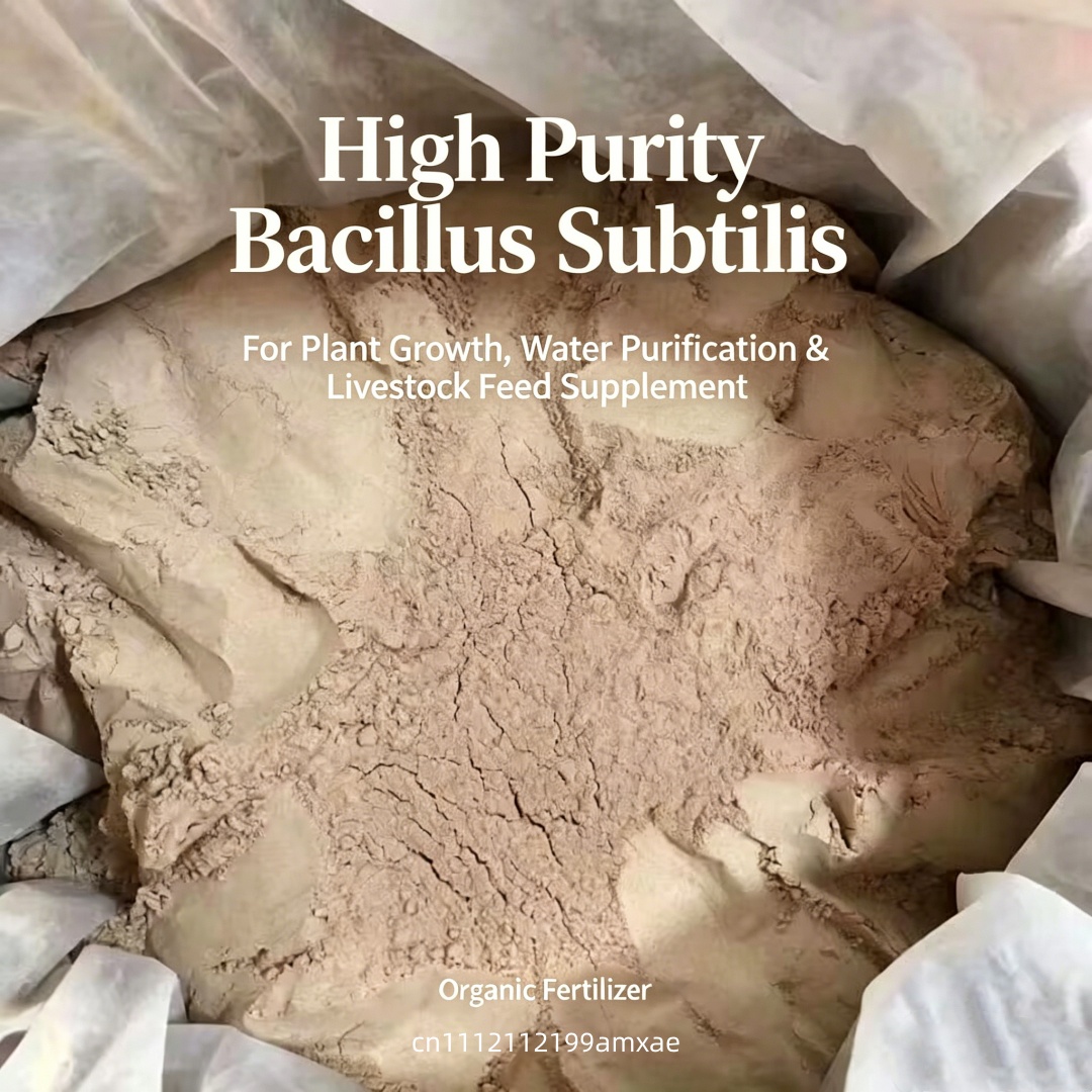 High Activity Bacillus Subtili - Aquarium Plant Diseases recensie en prijs