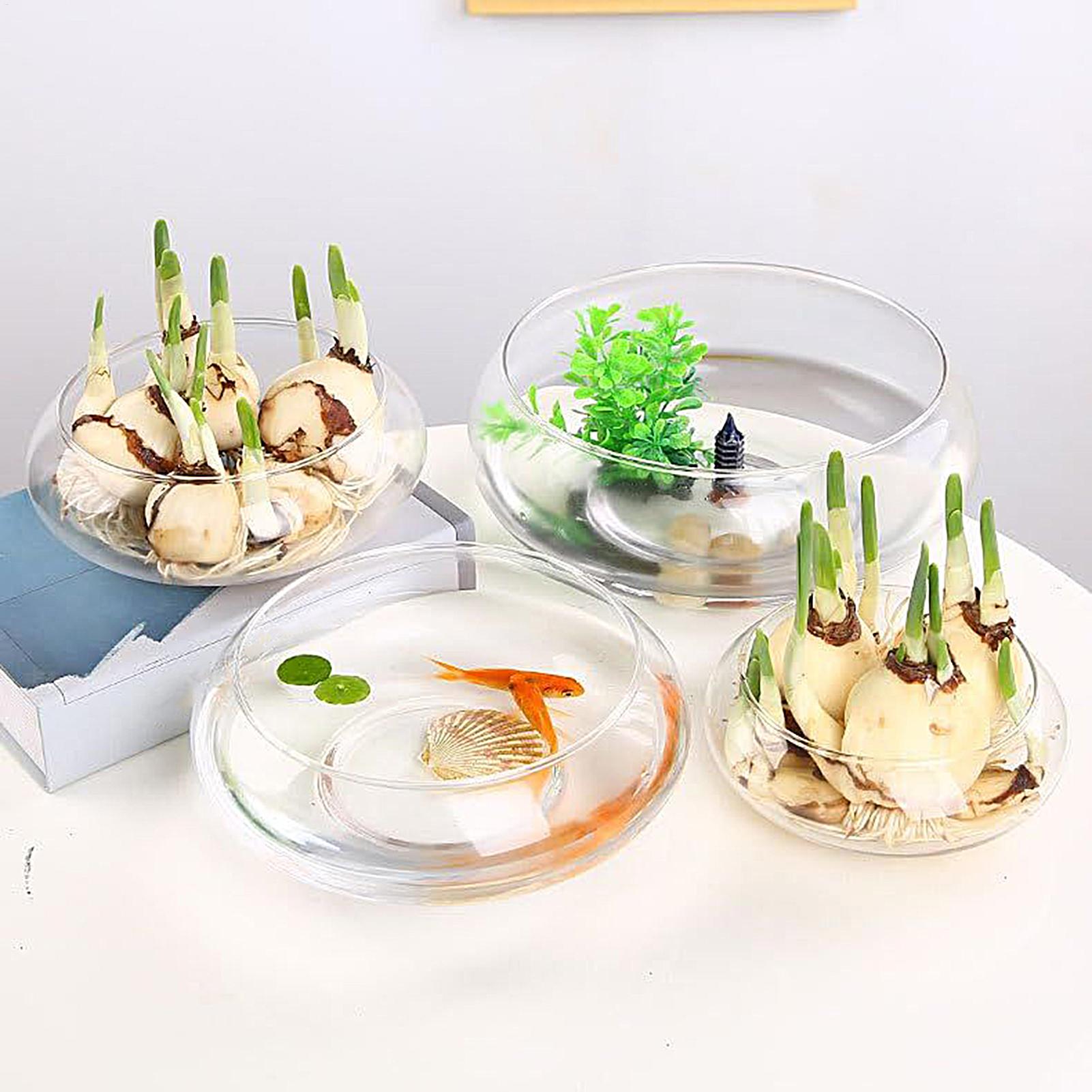 Fish Glass Bowl Glass Large Hy - Aquarium Plant Original recensie en prijs
