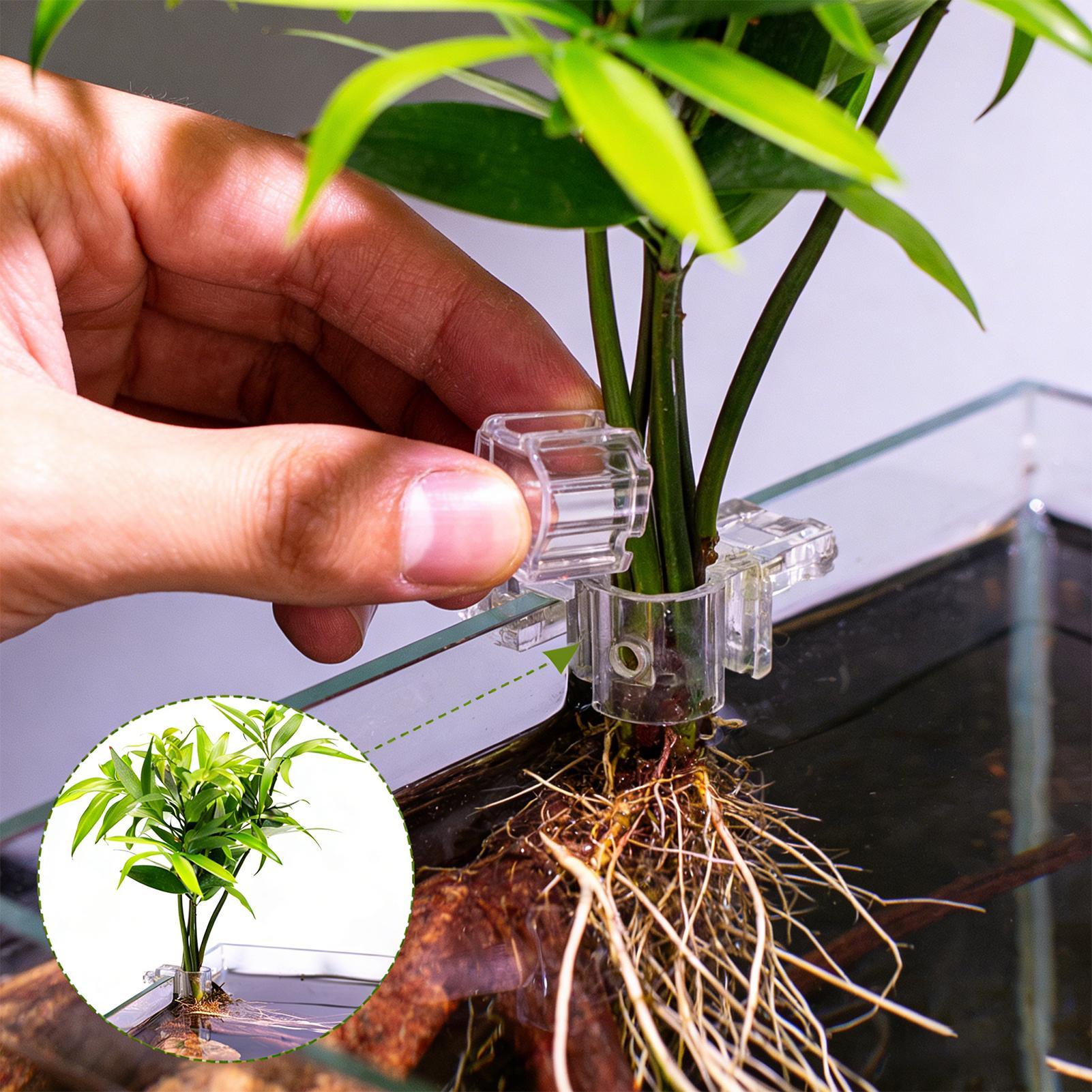 Fish Tank Plant Holder 6 Piece - Aquarium Plant Diseases recensie en prijs