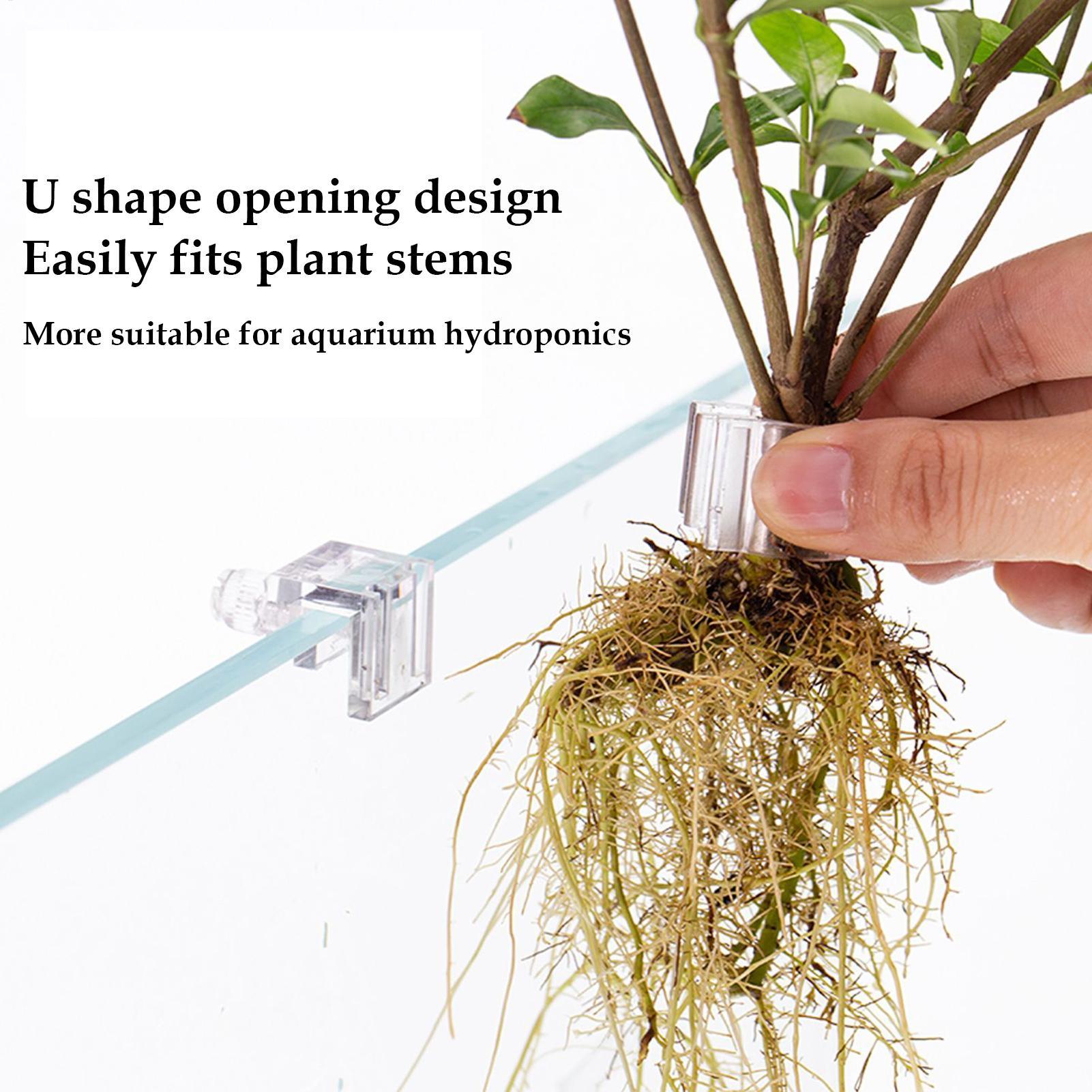 Fish Tank Plant Holder 6 Piece - Aquarium Plant Diseases recensie en prijs