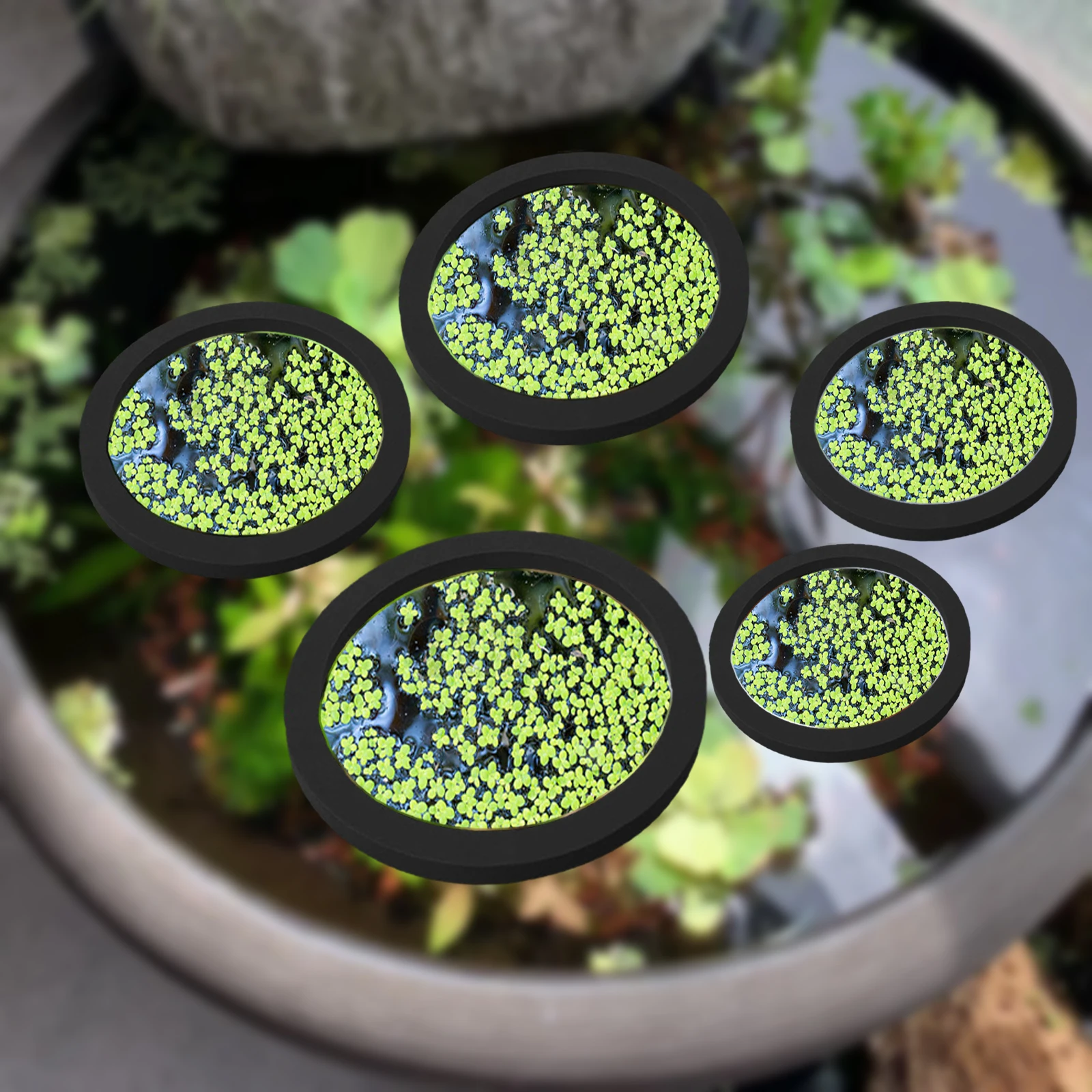 5Pcs EVA Fish Feeding Ring Aqu - Aquarium Plant Original recensie en prijs