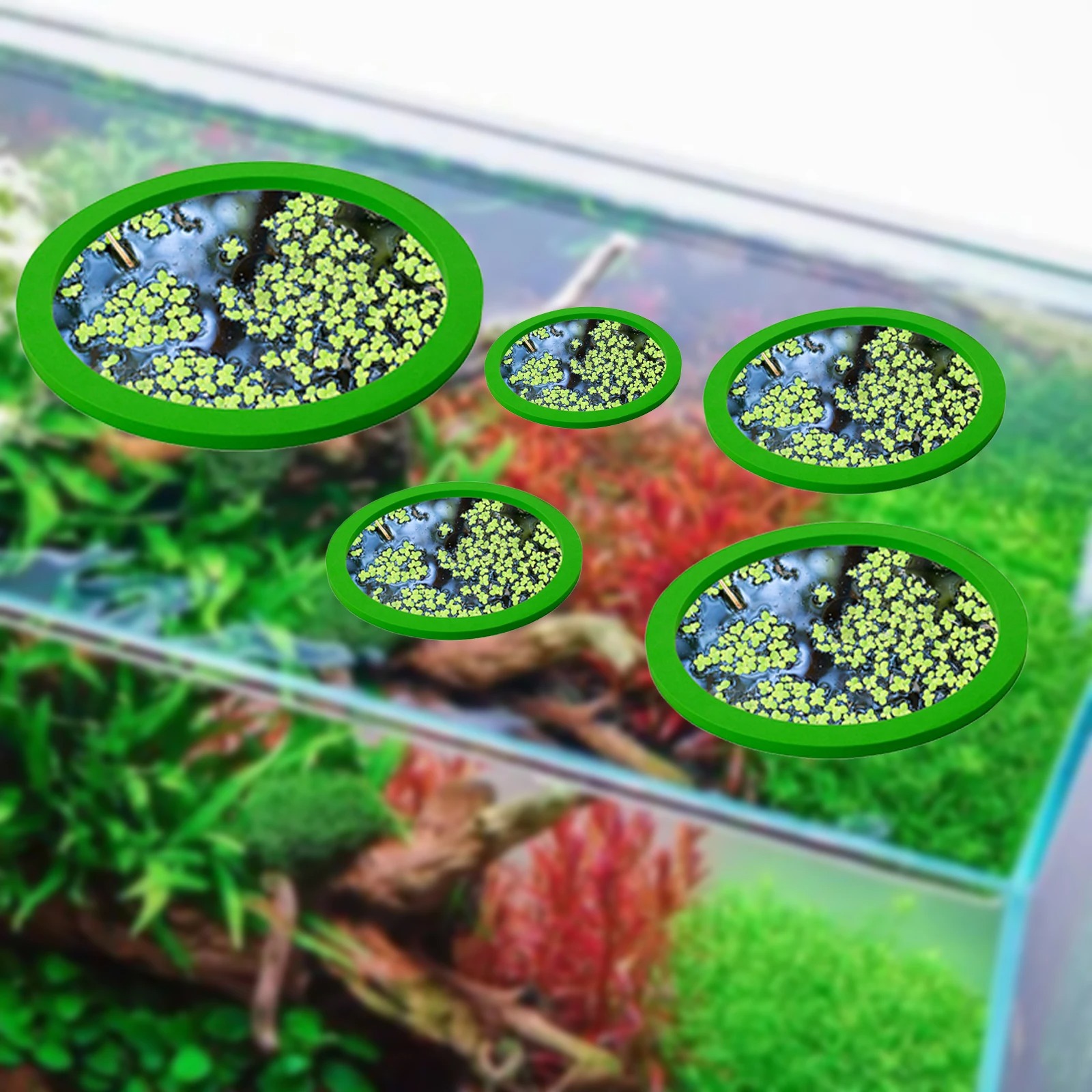 5Pcs EVA Fish Feeding Ring Aqu - Aquarium Plant Original recensie en prijs
