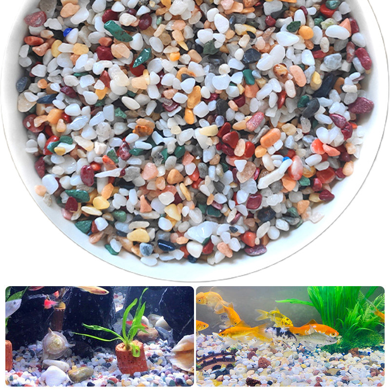 Natural Gravel Stone 200~1000g - Planted Aquarium With Sand recensie en prijs