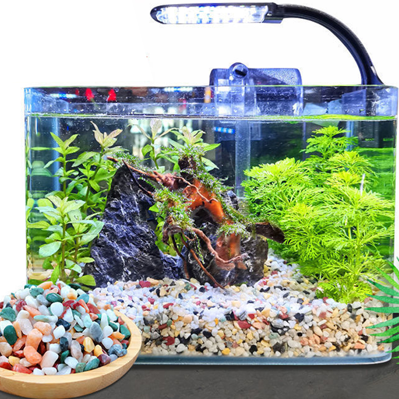 Natural Gravel Stone 200~1000g - Planted Aquarium With Sand recensie en prijs