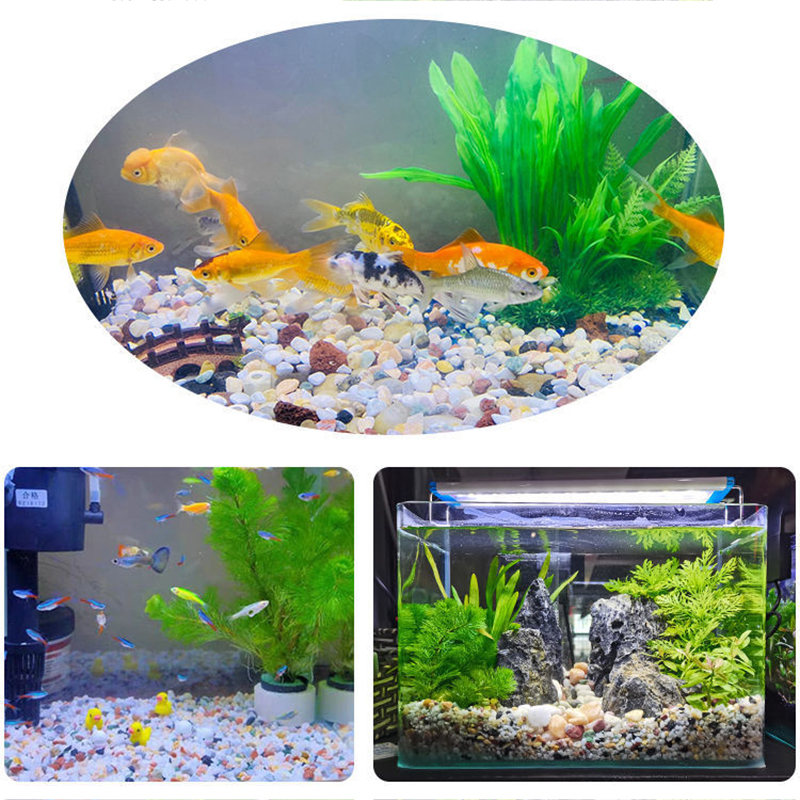 Natural Gravel Stone 200~1000g - Planted Aquarium With Sand recensie en prijs