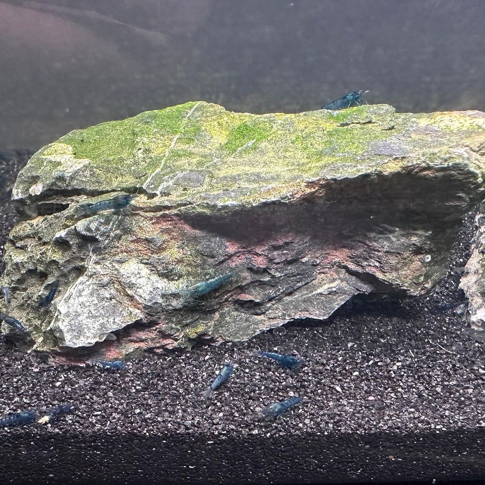 YISZM Aquarium Sand, 20lbs Bla - Planted Aquarium With Sand recensie en prijs