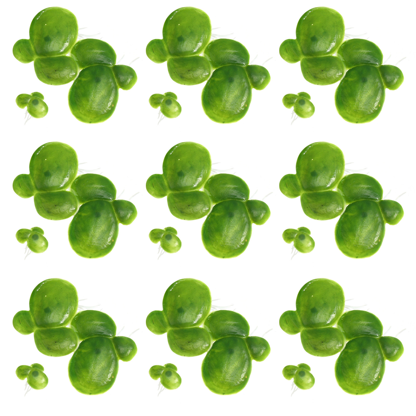 2Packs Fake Duckweed for Aquar - Aquarium Planted Tank recensie en prijs