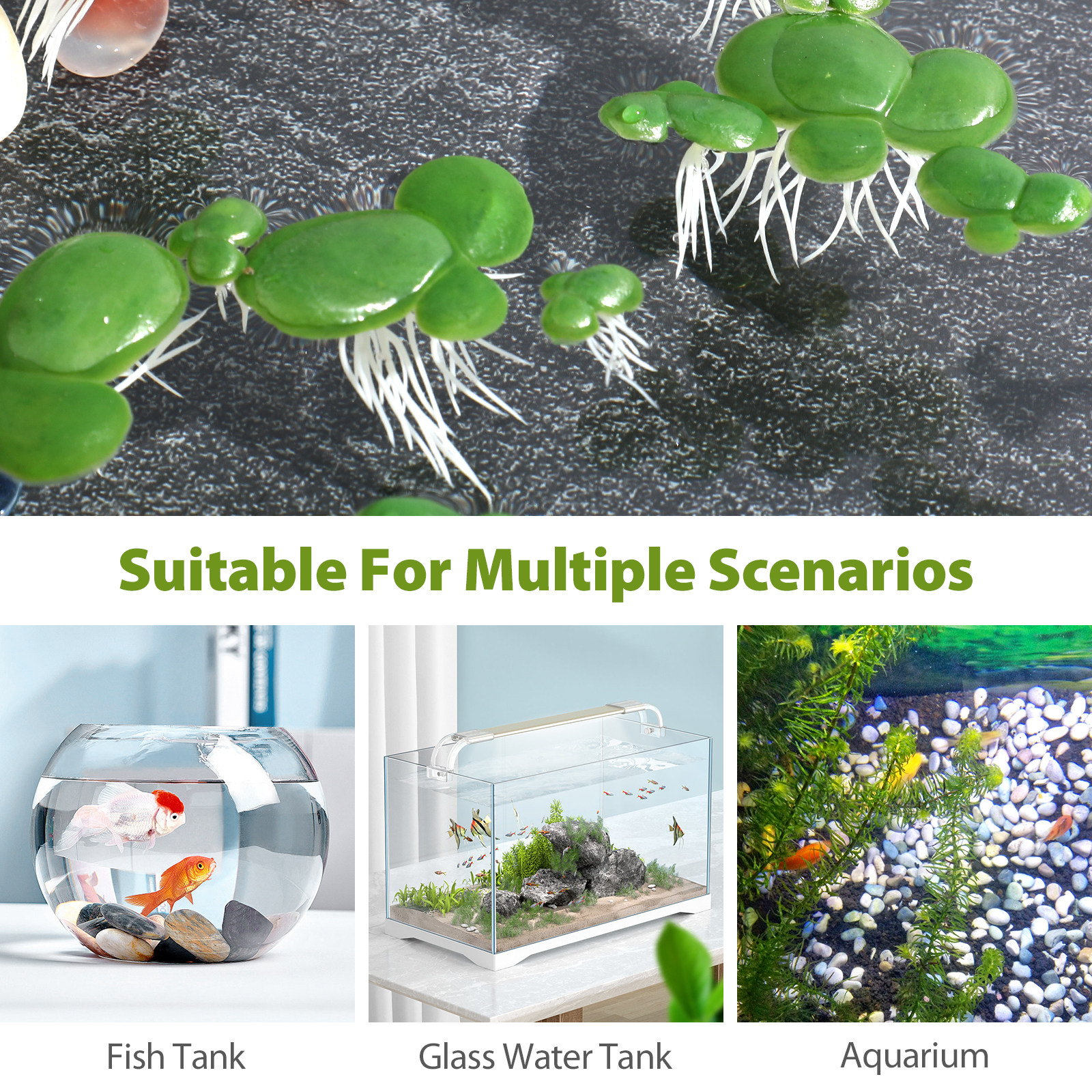 2Packs Fake Duckweed for Aquar - Aquarium Planted Tank recensie en prijs