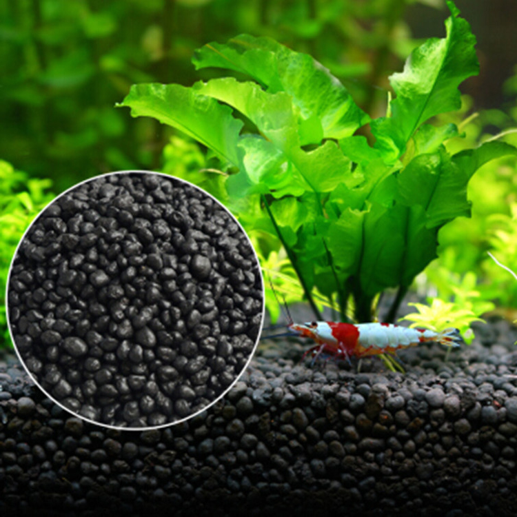 Aquarium Plant Seeds Soil Fish - Aquarium Plant Diseases recensie en prijs