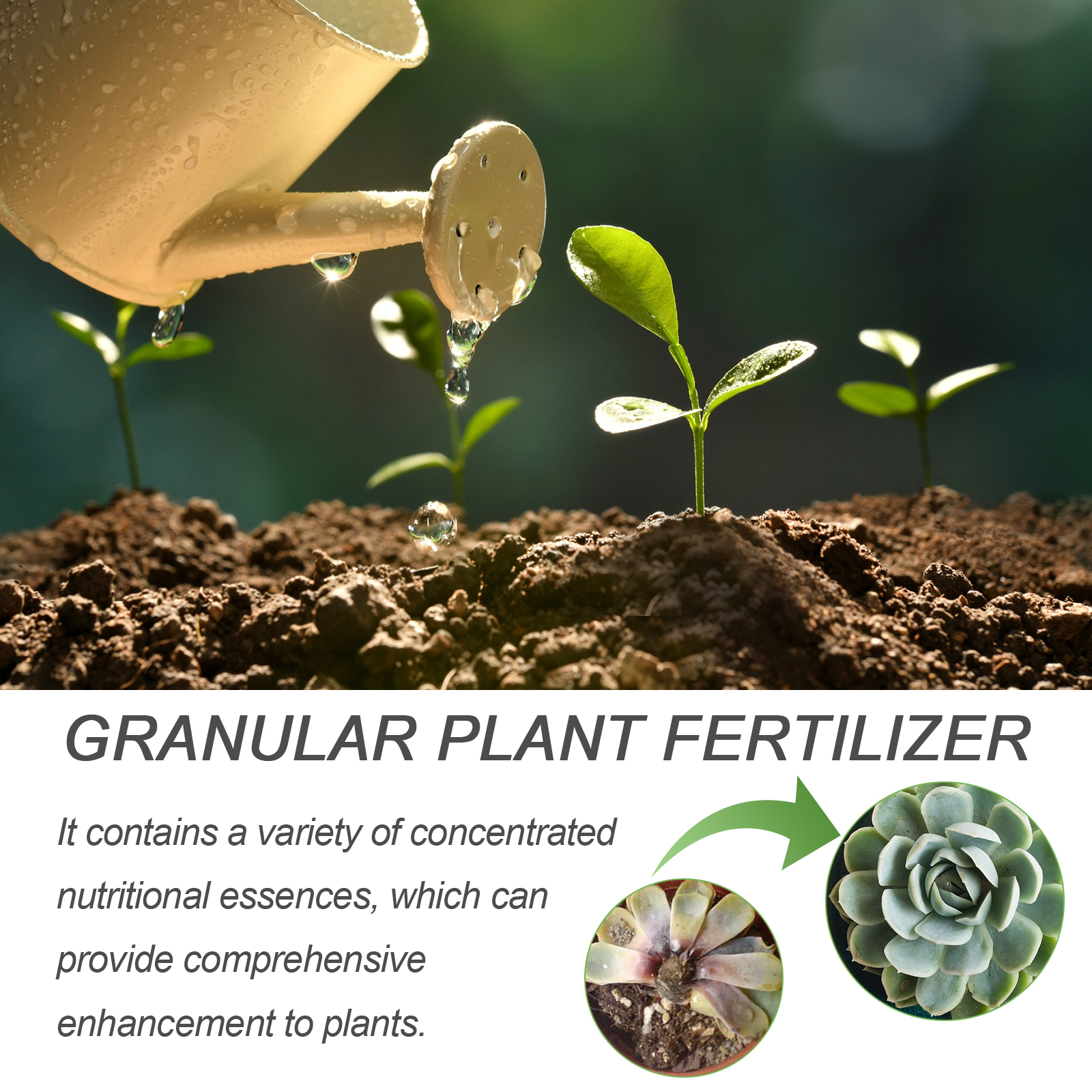 30ML All Purpose Green Plant N - Liquid Fertilizer All In recensie en prijs