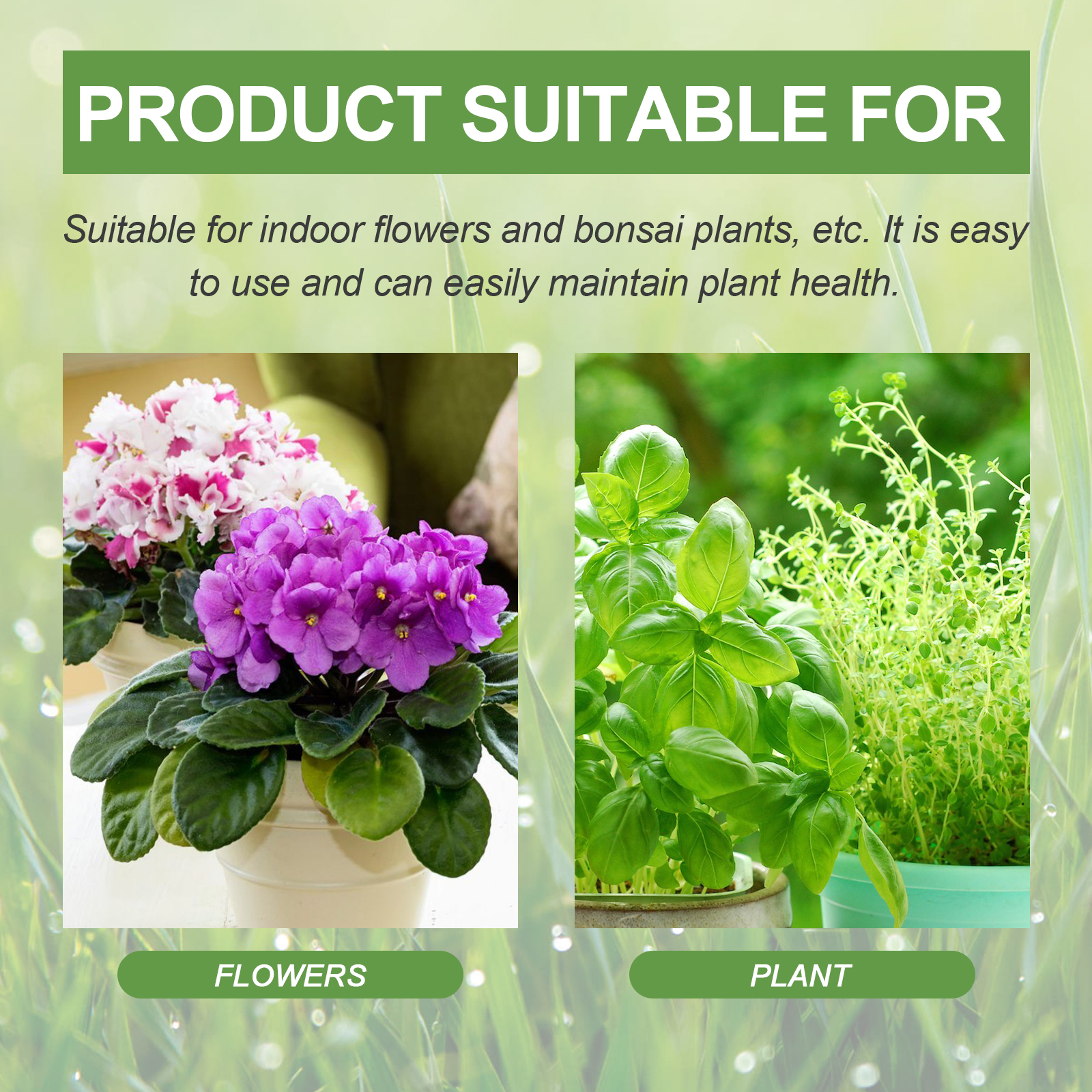 30ML All Purpose Green Plant N - Liquid Fertilizer All In recensie en prijs